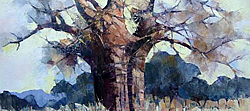 Baobab tree | Oil on Canvas | 64 x 45 cm